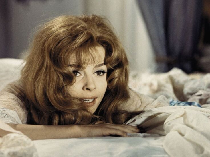 Мишель Мерсье / Фото из открытых источников