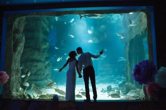    Регистрация в Москвариуме. Фото: Управление ЗАГС Москвы