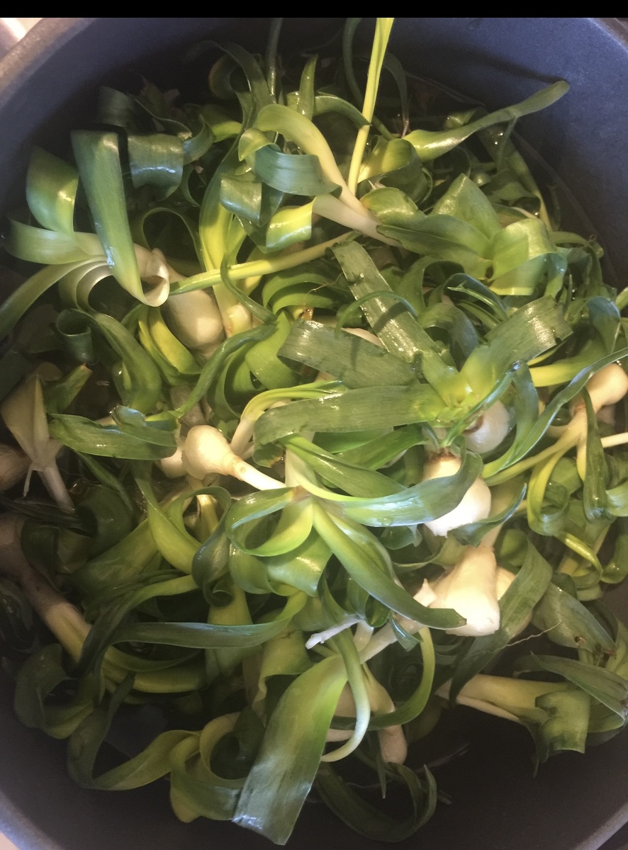 Птицемлечник готов для приготовления