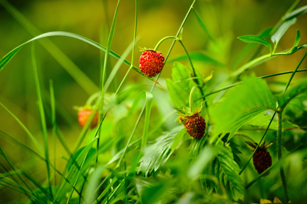 фото: Stefan Jaitner/dpa/Global Look Press