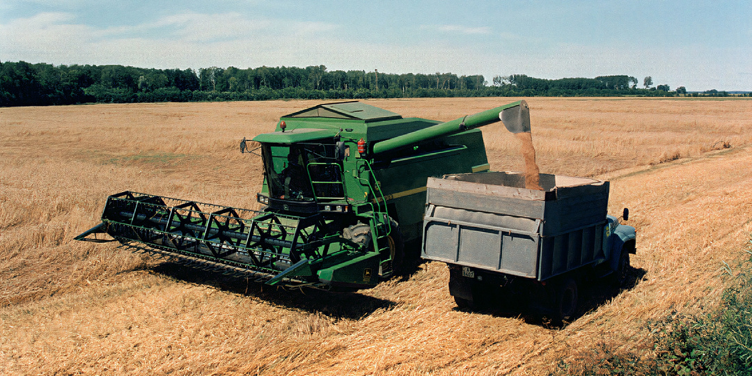 Хозяин-оглы: южане организовали рабовладельческую плантацию в Сибири