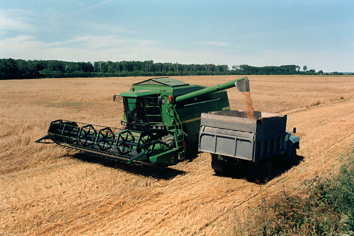 ФОТО: Виктор Лисицын/Globallookpress