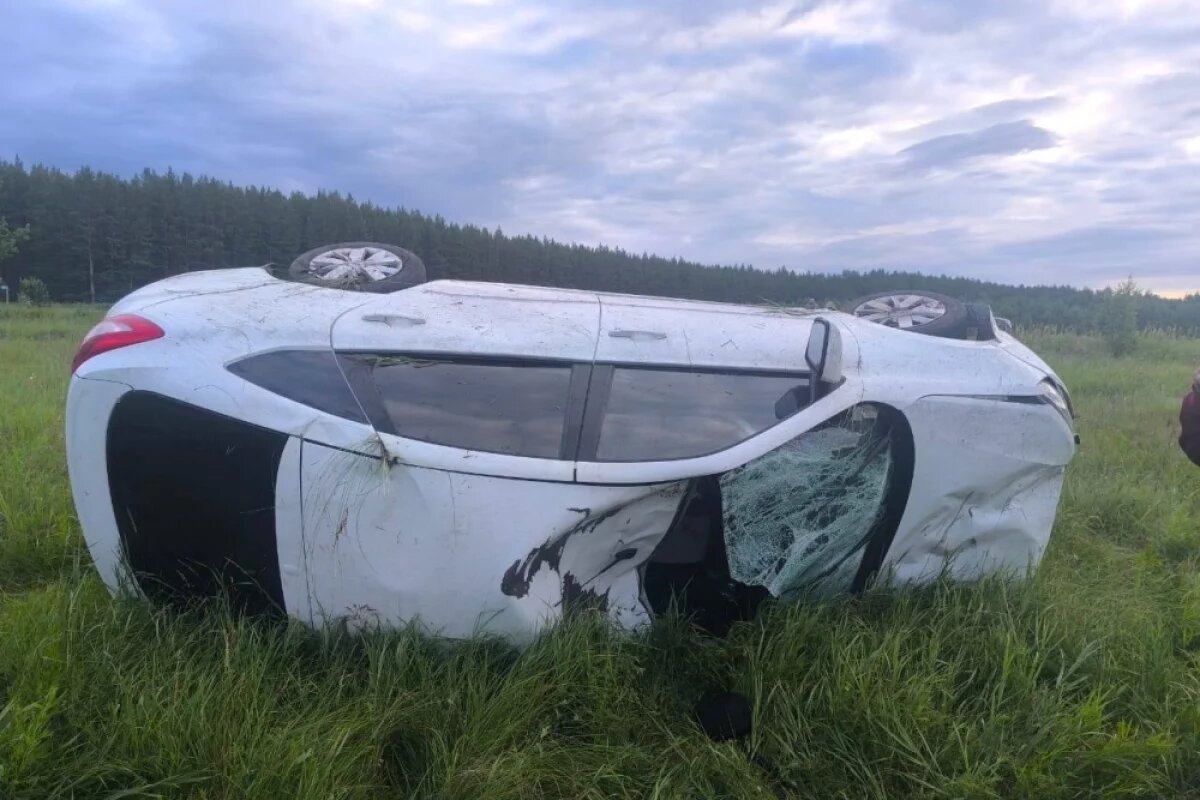    Водитель «Лады» погиб после столкновения с лосем в Челябинской области