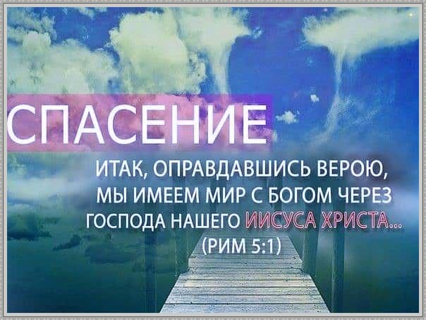 коллаж автора