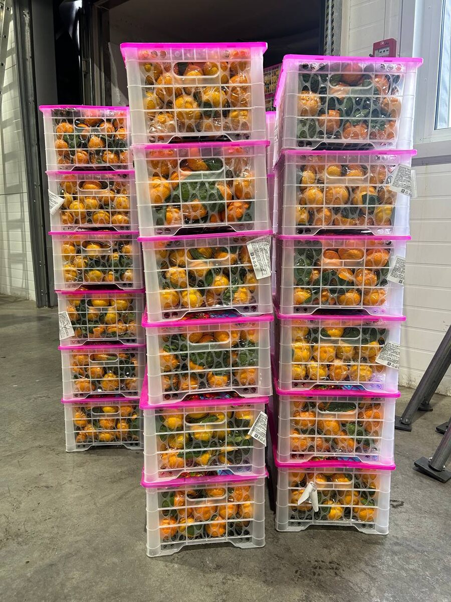    Фото: Управление Россельхознадзора по Красноярскому краю / Telegram