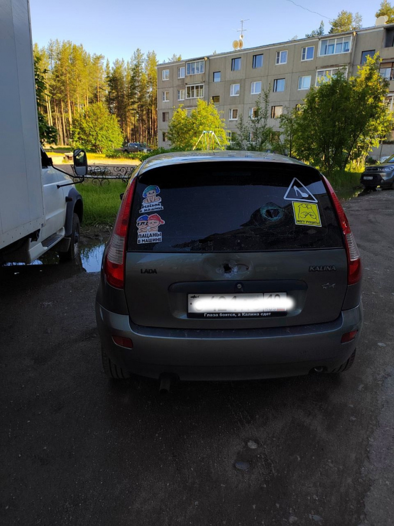    Пьяный житель поселка Карелии расстрелял два автомобиля знакомой, не догнав еечитатель "Фактора"