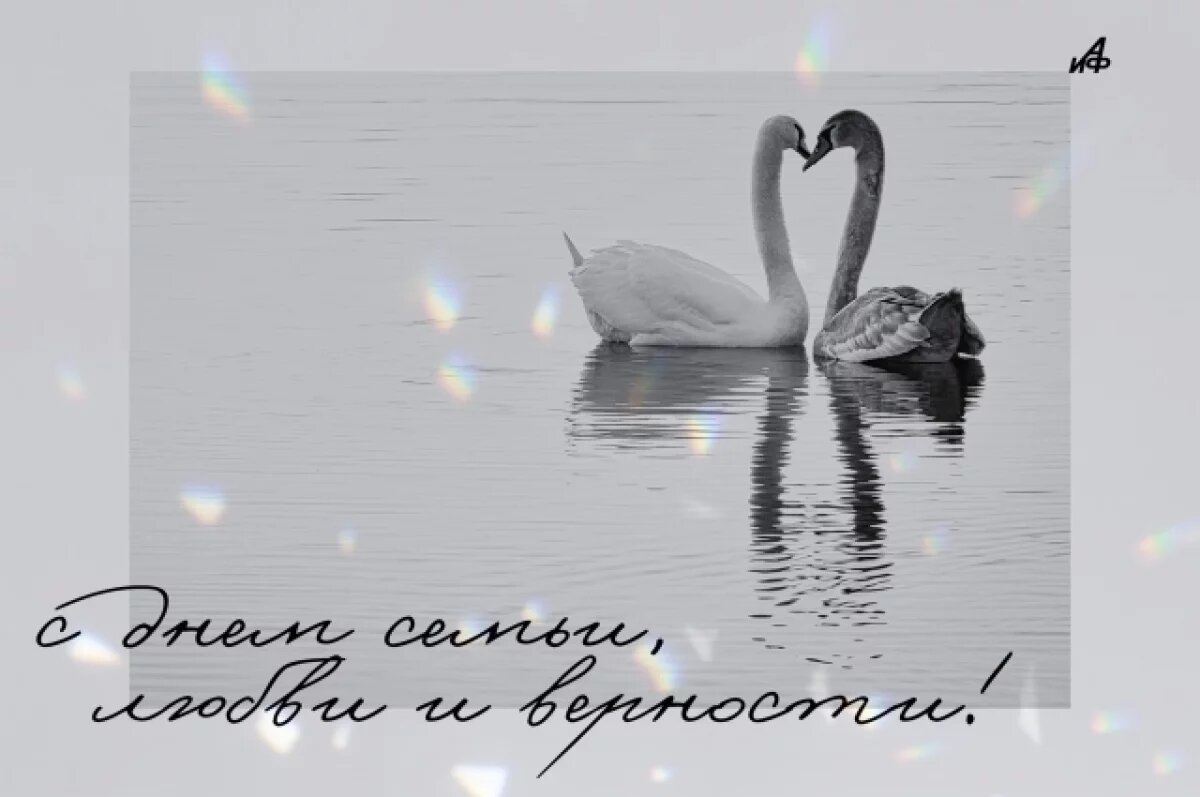    День семьи, любви и верности-2025.