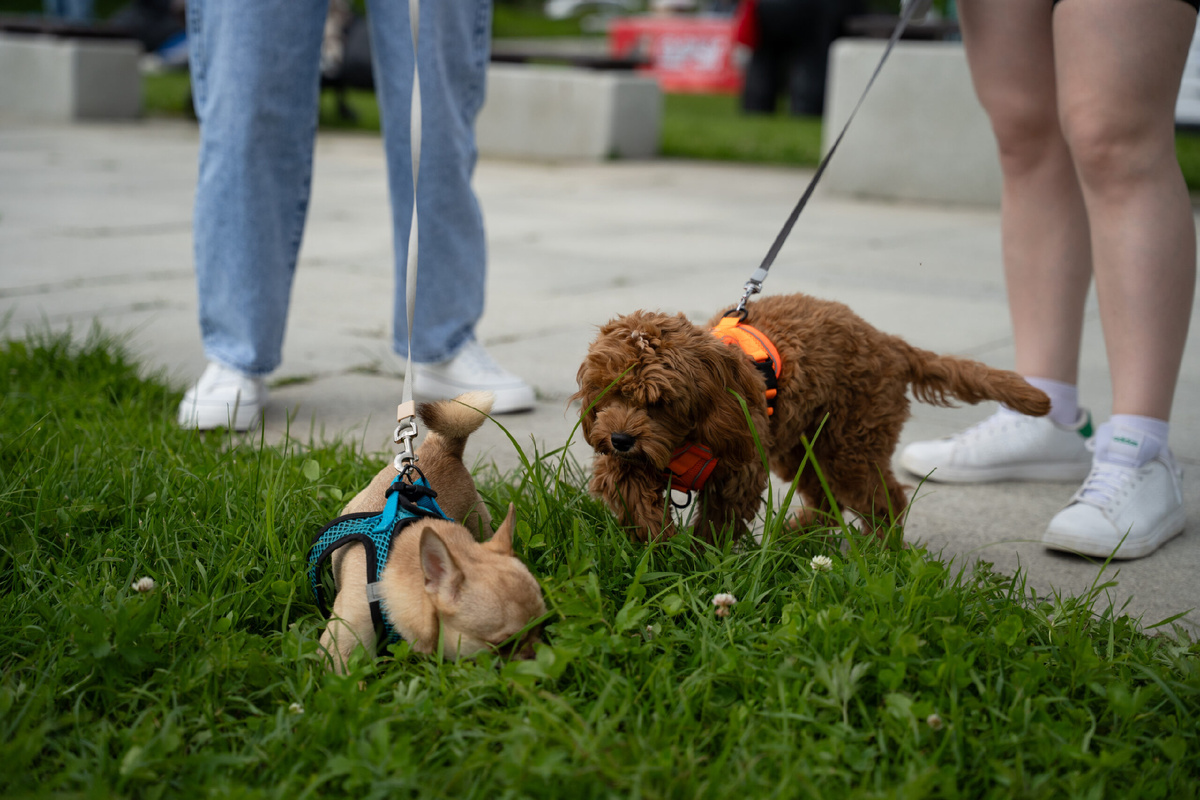Фото: Александр Плонский 