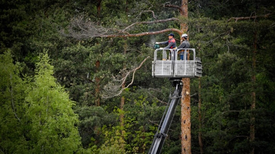    Komsomolskaya Pravda/Globallookpress