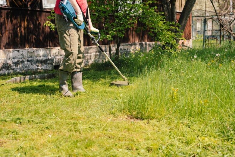    Shutterstock/FOTODOM