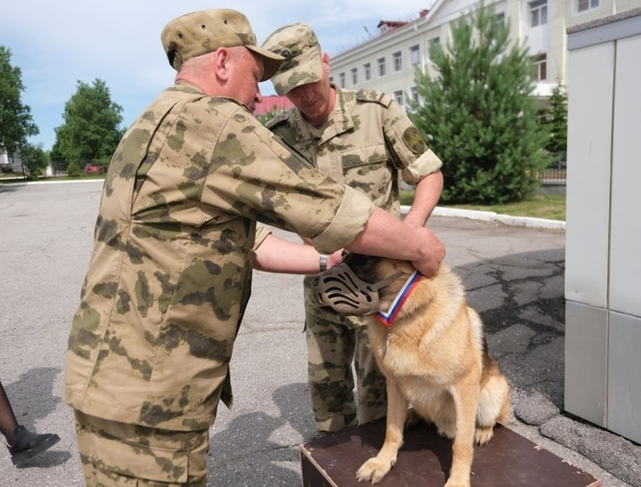     фото: ВО ВНГ РФ