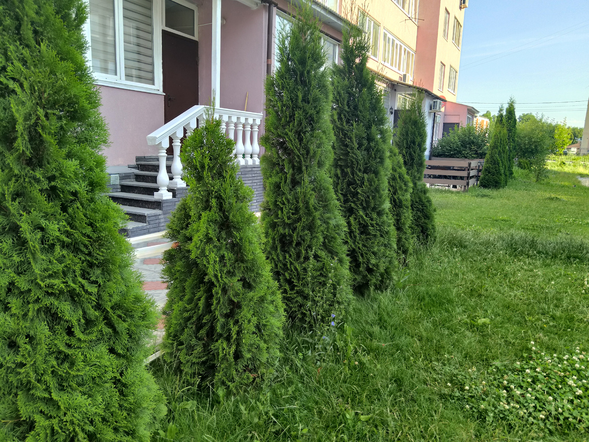 Фото автора