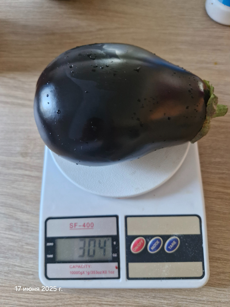 Самый первый - самый вкусный!