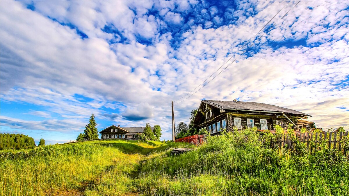    Фото: Nikolay Zaborskikh/Shutterstock/Fotodom