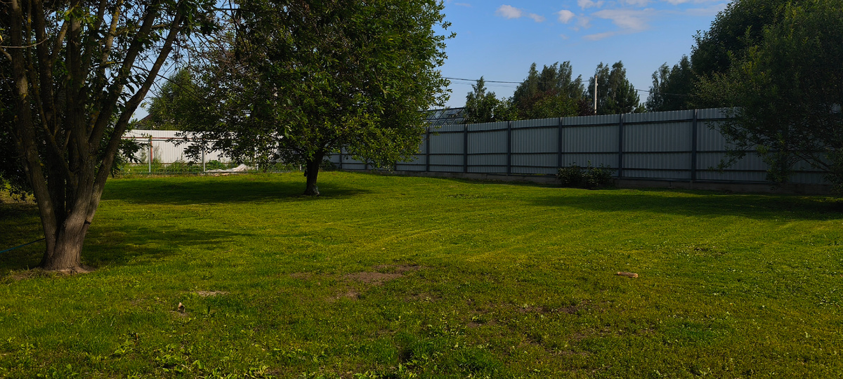 Это самый идеальный газон за 2 года на этом участке