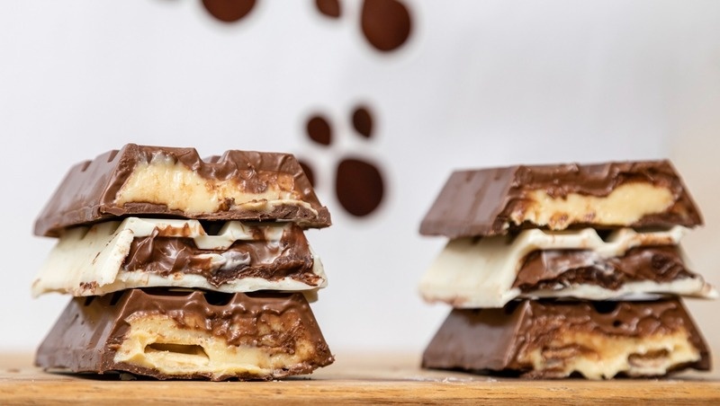     Фото: @murilomazzo / freepik.com