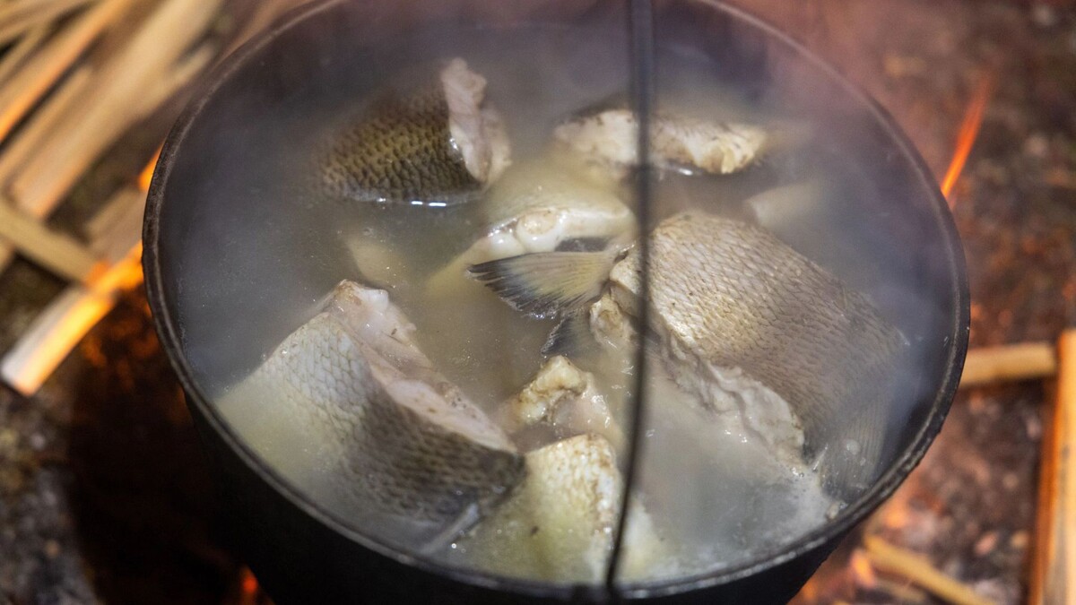    Фото: Федор Воронов / «Ямал-Медиа»