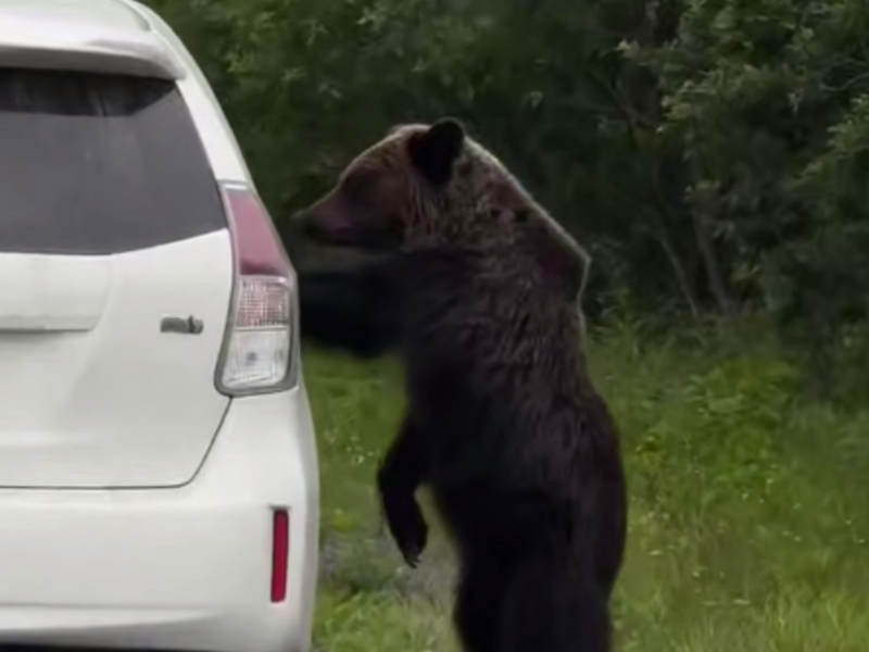 © Фото из социальных сетей