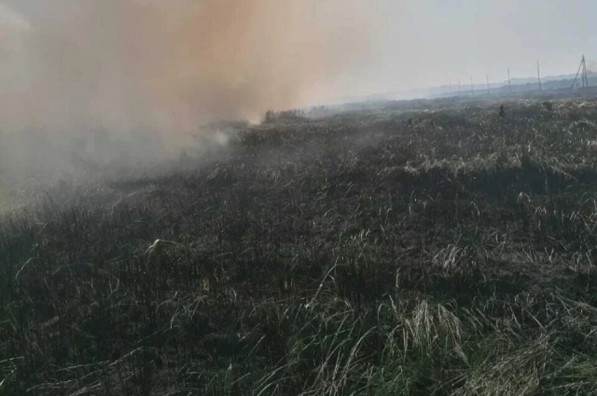    Сухую траву на 3 гектарах потушили пожарные расчеты на Сахалине