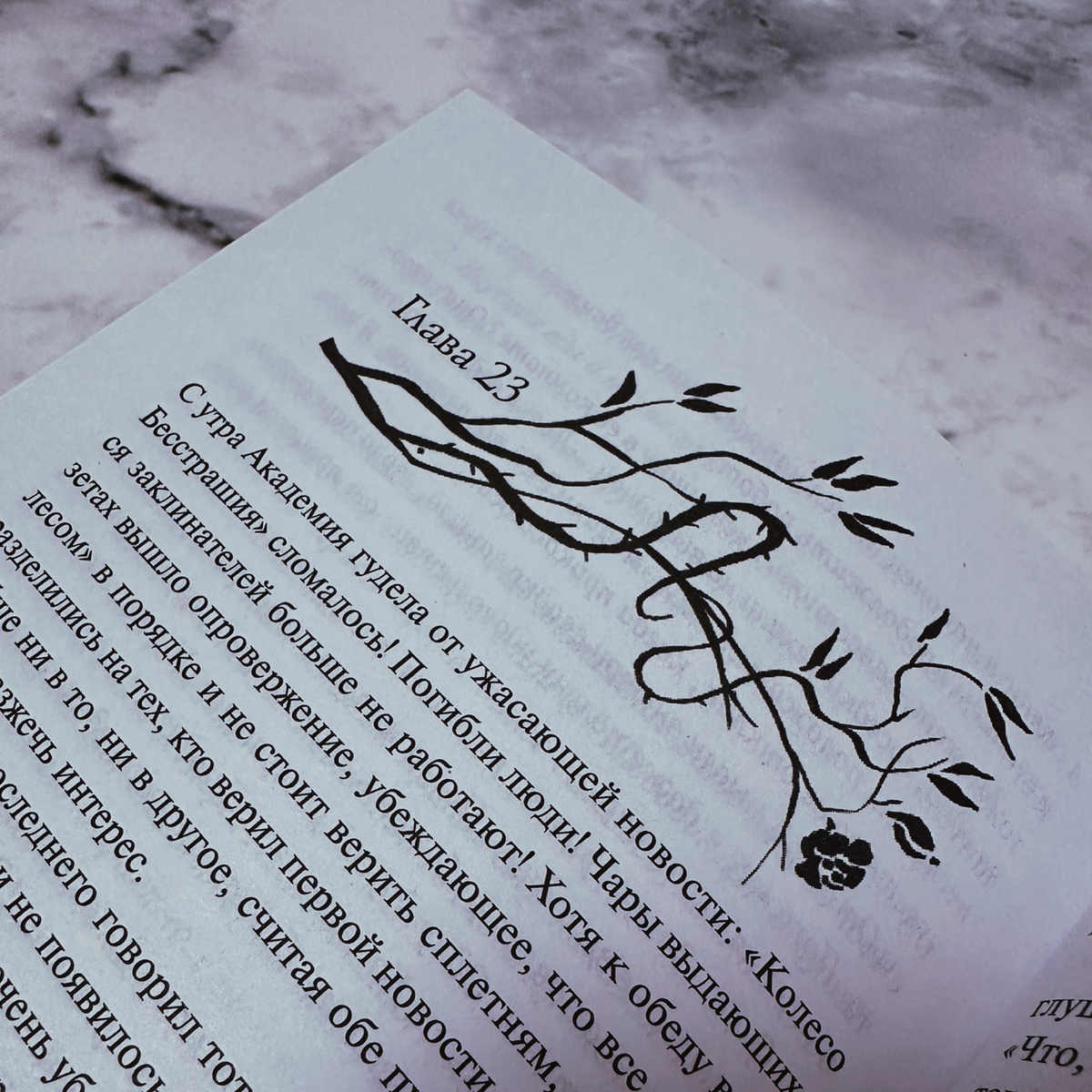 Фото Анны Карповой/Книжная лавка: жизнь любителя почитать