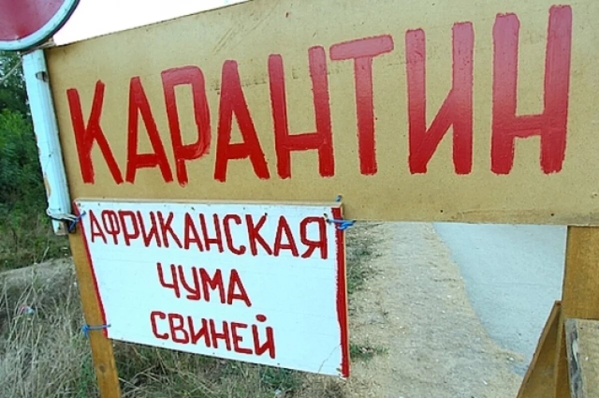    В Саратовской области обнаружили АЧС летом