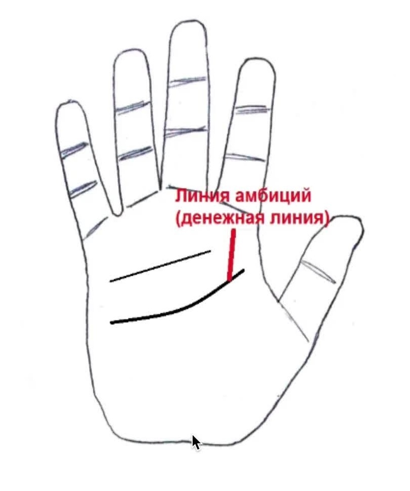 Фото из сети