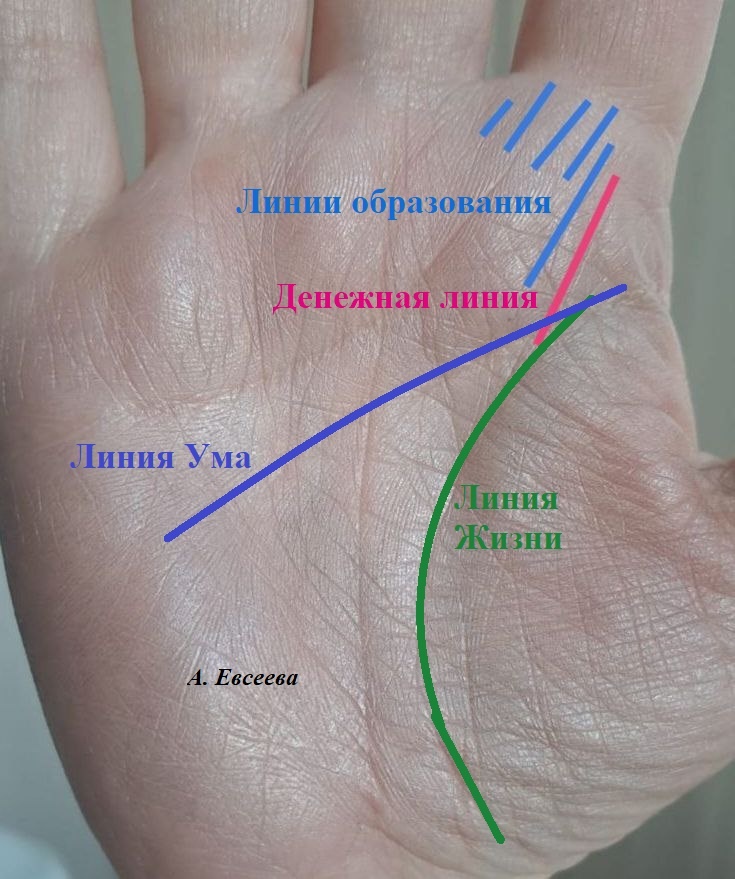 Фото из рабочего архива. посмотрите, есть Денежная Линия, Линии образования и шикарная Линия Судьбы.