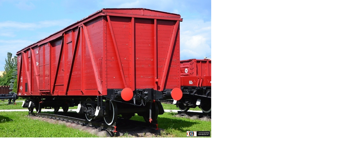 Фото из Интернета.