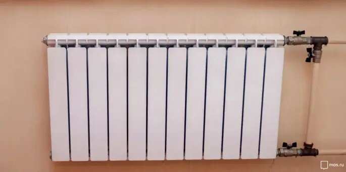    Фото: dni.ru Оливия Ильинская