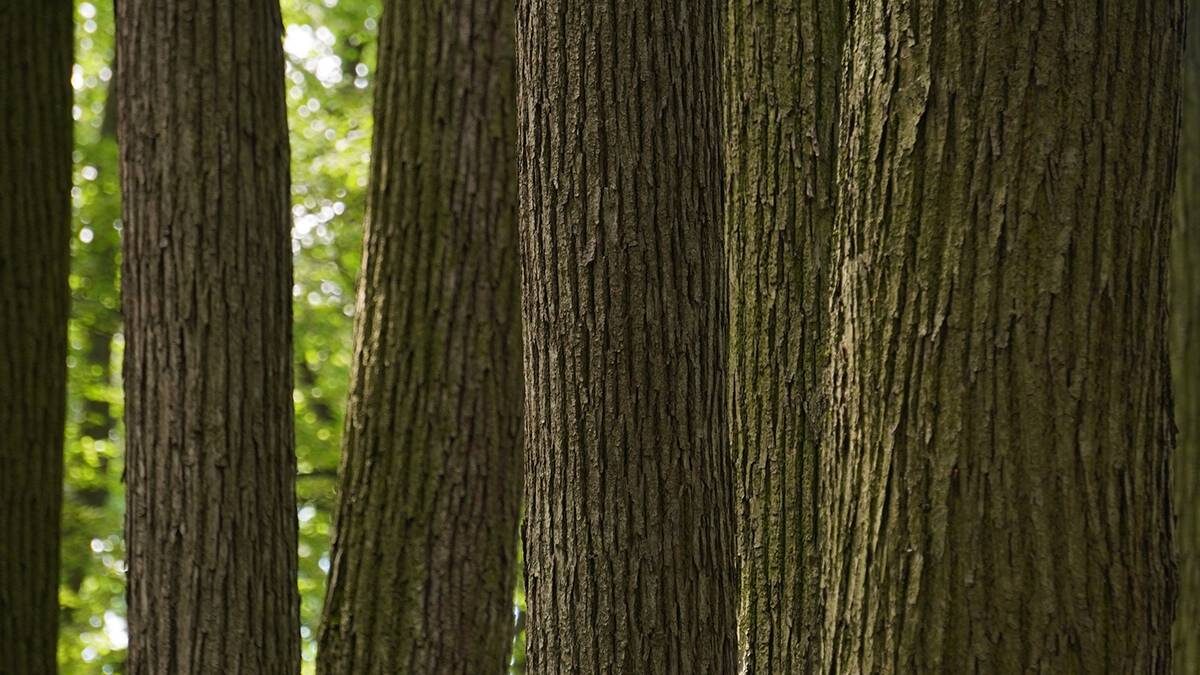    Фото: Анатолий Цымбалюк / Вечерняя Москва