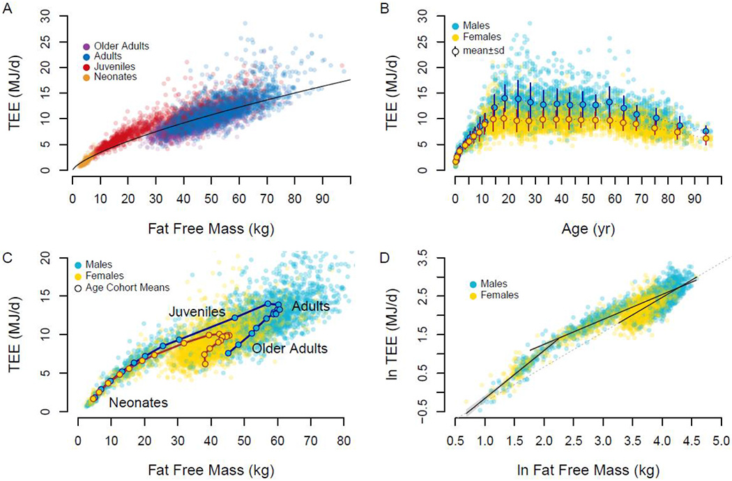 Изменения общих энергозатрат в течение жизни в основном объясняются изменениями тела (особенно безжировой массы), а не только активностью или возрастом.