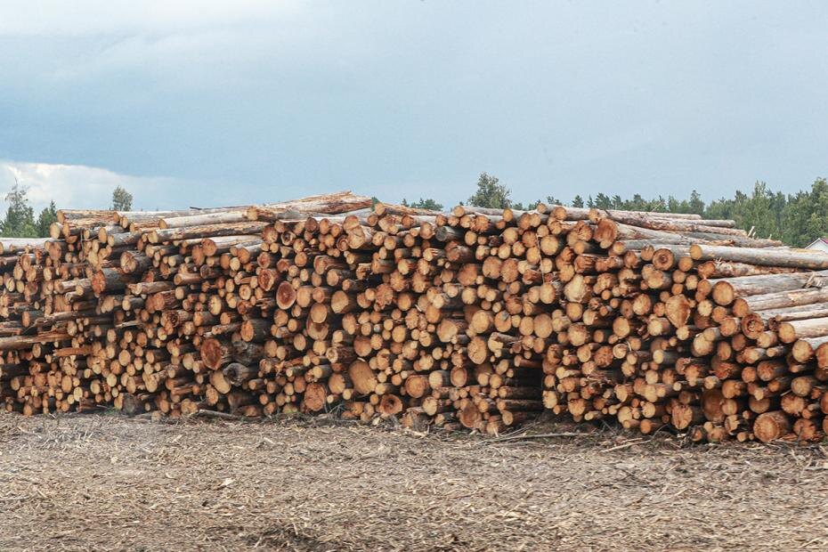    Сергей Булкин/NEWS.ru