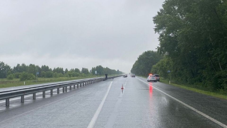    ДТП в Новосибирском районе. Источник: Госавтоинспекция Новосибирской области