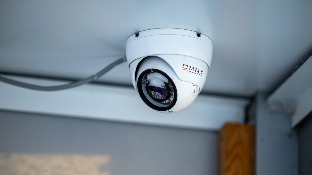    Фото: Фёдор Воронов / «Ямал-Медиа»