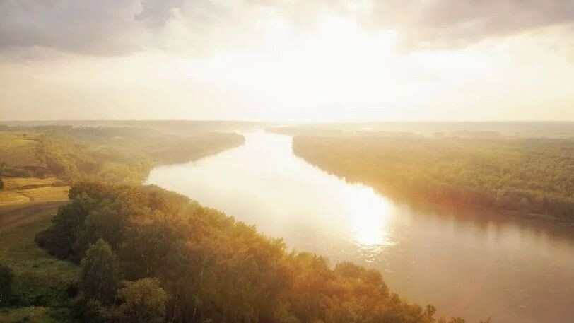    Фото: Salcido/Shutterstock/Fotodom