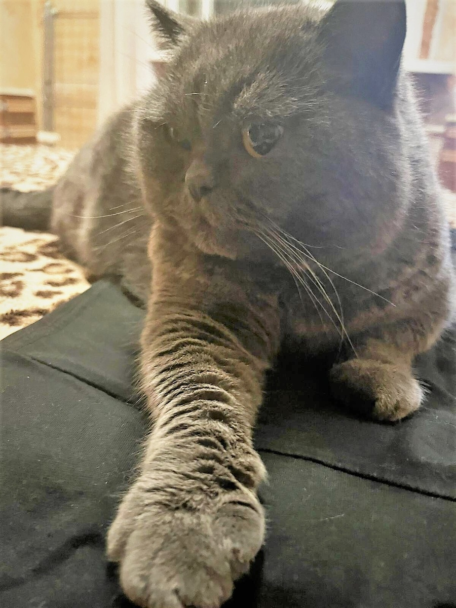 За портрет Санты благодарю Марину АБРОЧНОВУ)