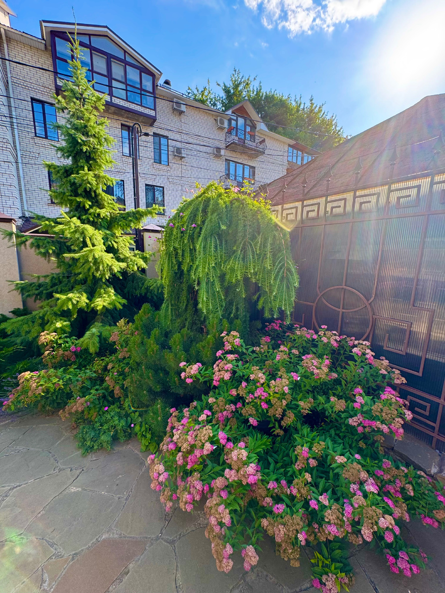 Парадная входная зона