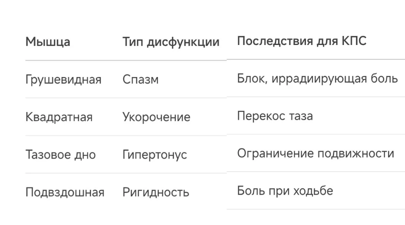 Как мышцы влияют на крестцово-подвздошный сустав