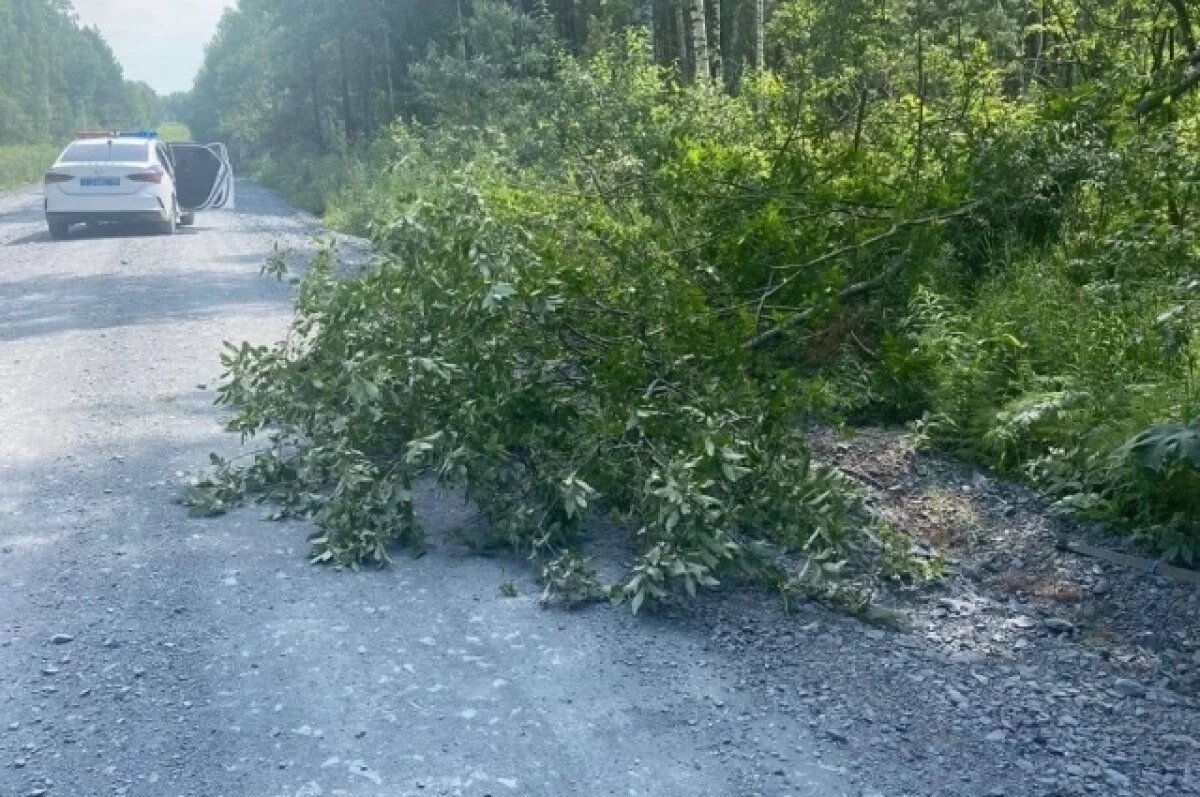    Томская прокуратура потребовала отремонтировать дорогу в деревню Половинка