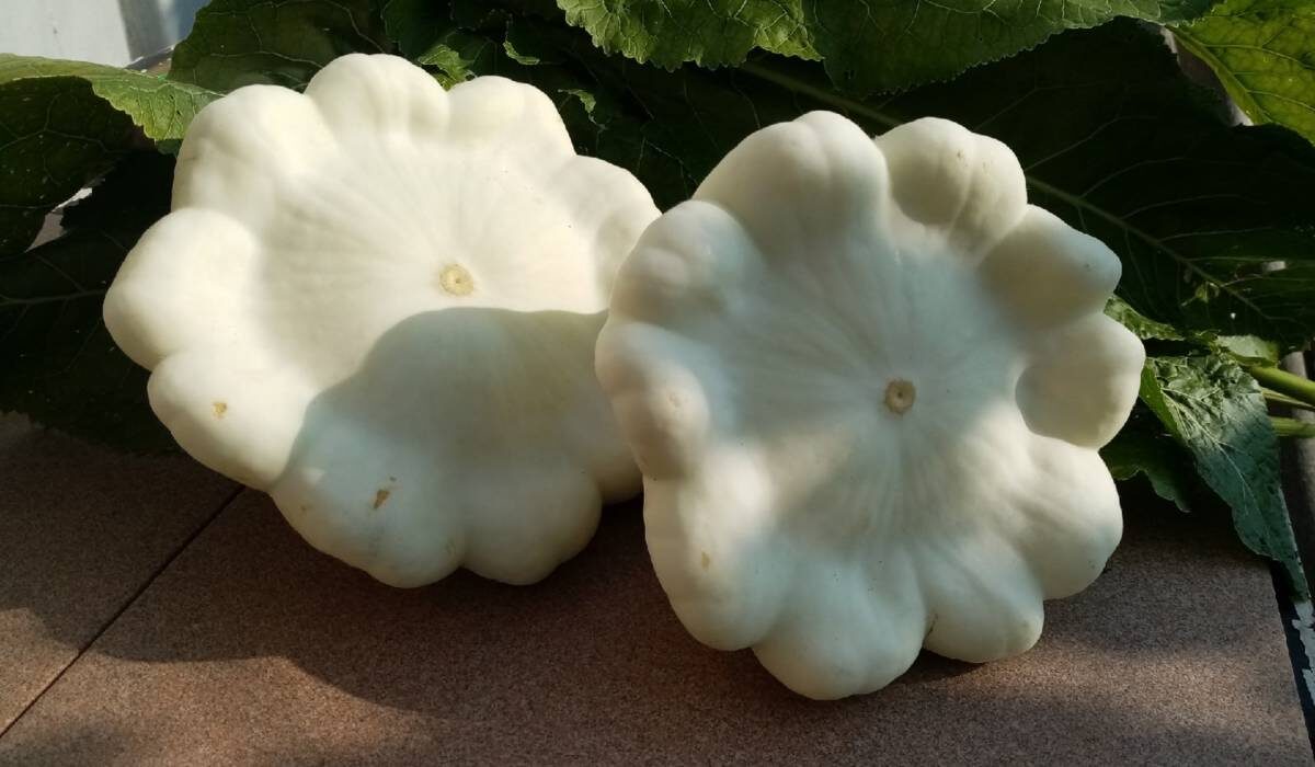 Идея из интернета