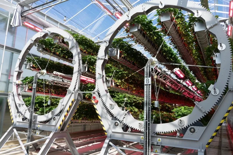 Источник изображений: Dyson