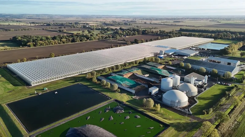 Источник изображений: Dyson