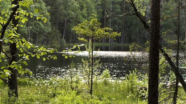    © Sputnik / Альфред Микус