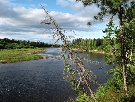 Фотографии Татьяны Немшановой. Река Ятрия. Окрестности села Саранпауль. Западная Сибирь, Приполярный Сибирь, природа Севера. У Семёна Тяньшанского река именовалась на картах Чертынья. У местного таёжного населения- Сертынья.