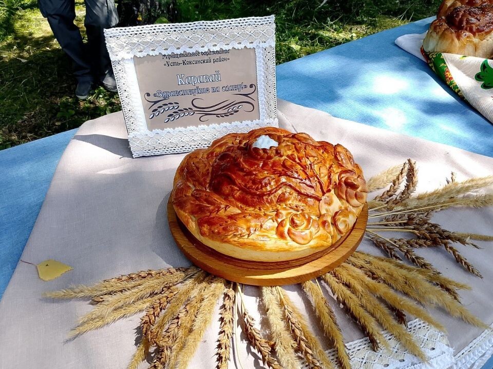    Межрегиональный фестиваль "Родники Алтая". Источник: Инна Жулаева/"Толк"