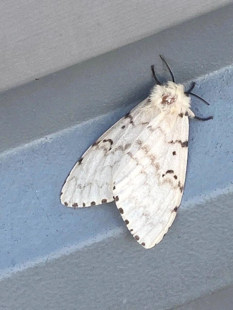     Источник: ЧС Тюмень