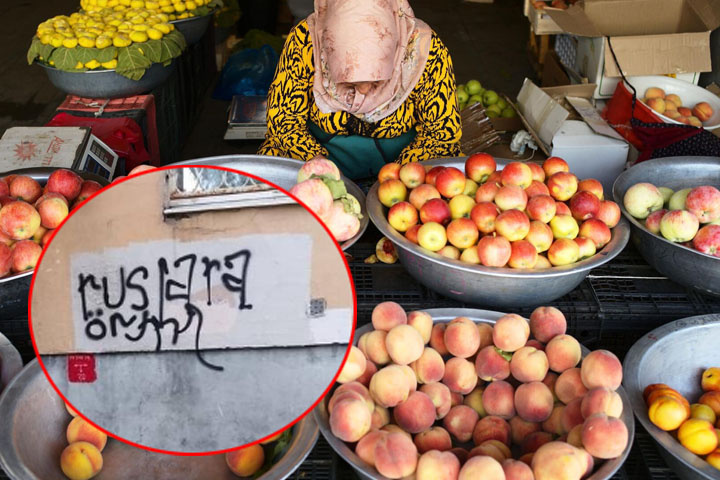 Фото: ria.ru, соцсети.