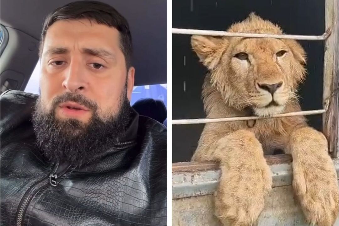 Скриншот видео