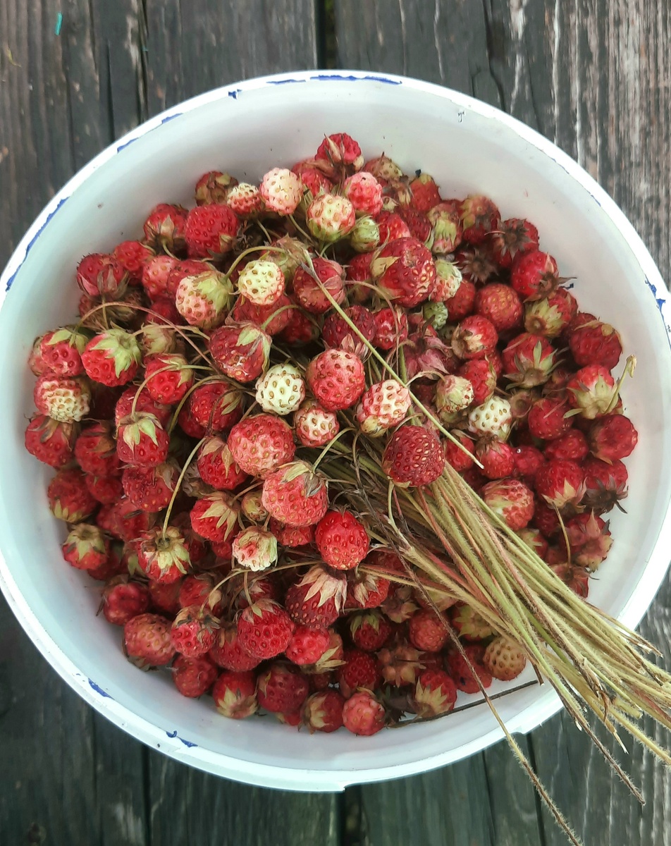 Фото автора. Хотя как ненапряжно:  перебрать 2-литровое ведро и оторвать попки - это час времени примерно.