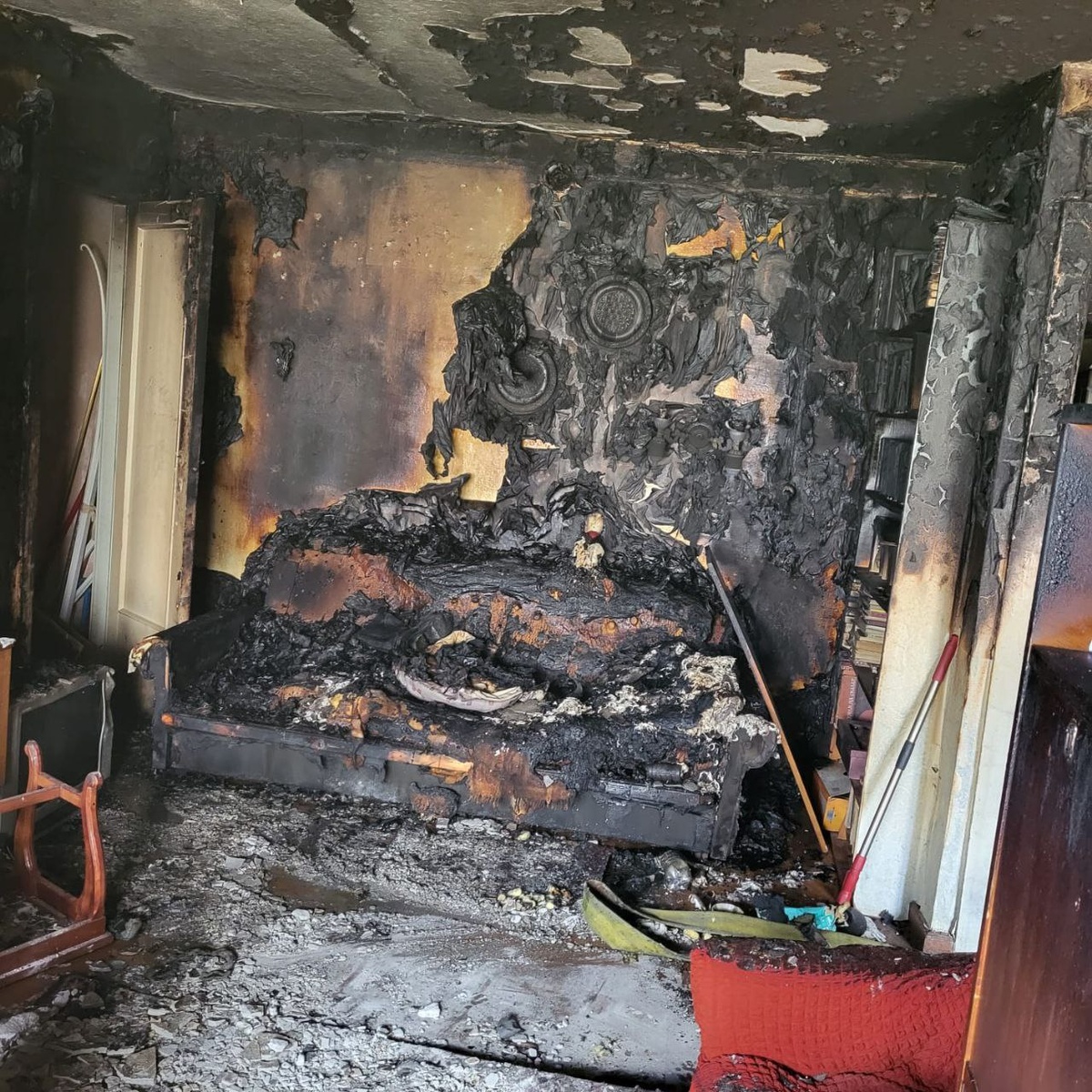    Фото: Госкомитет Карелии по ОЖ и БН